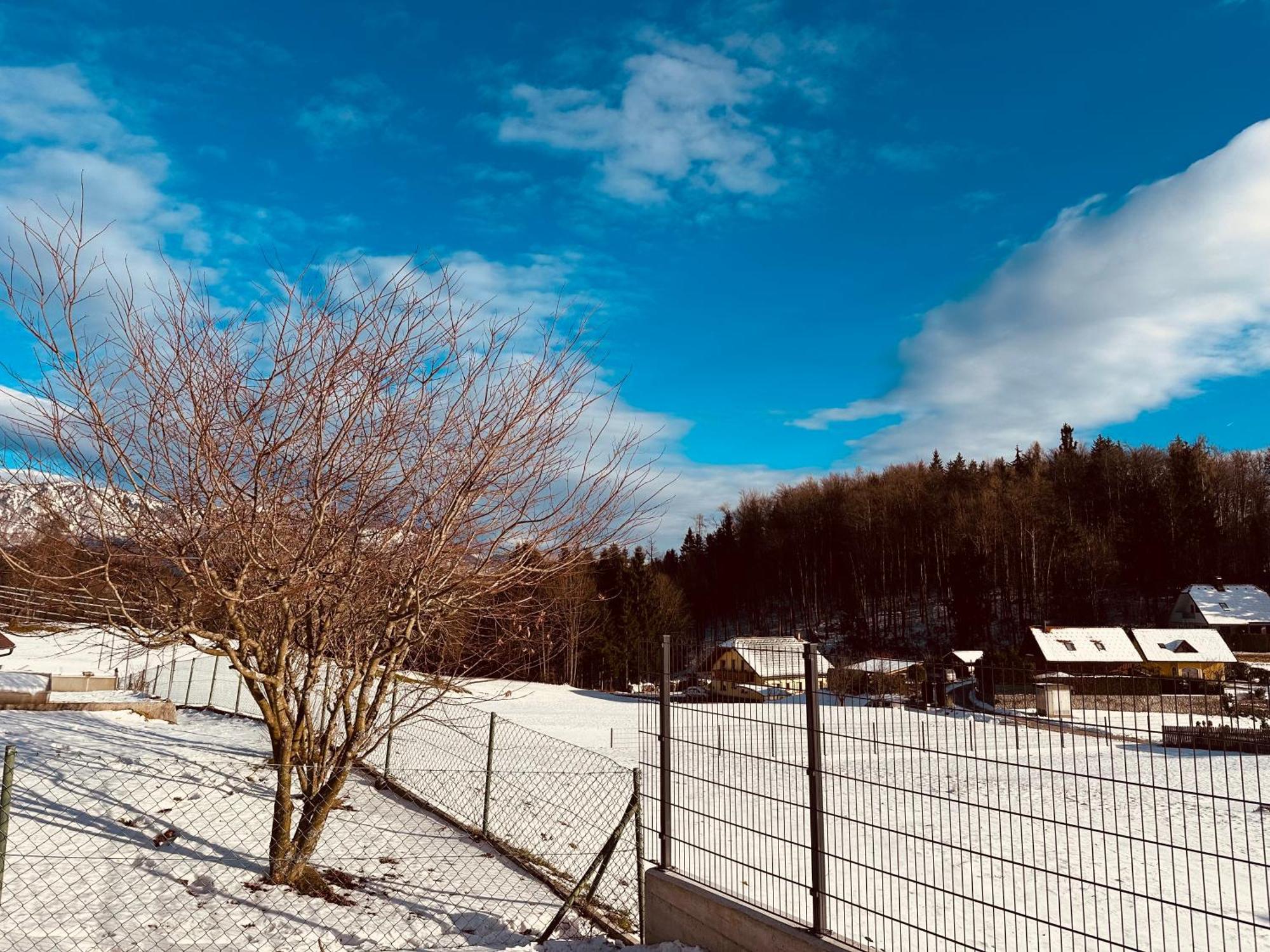 Chalet Pjagodic Cerklje na Gorenjskem Bagian luar foto