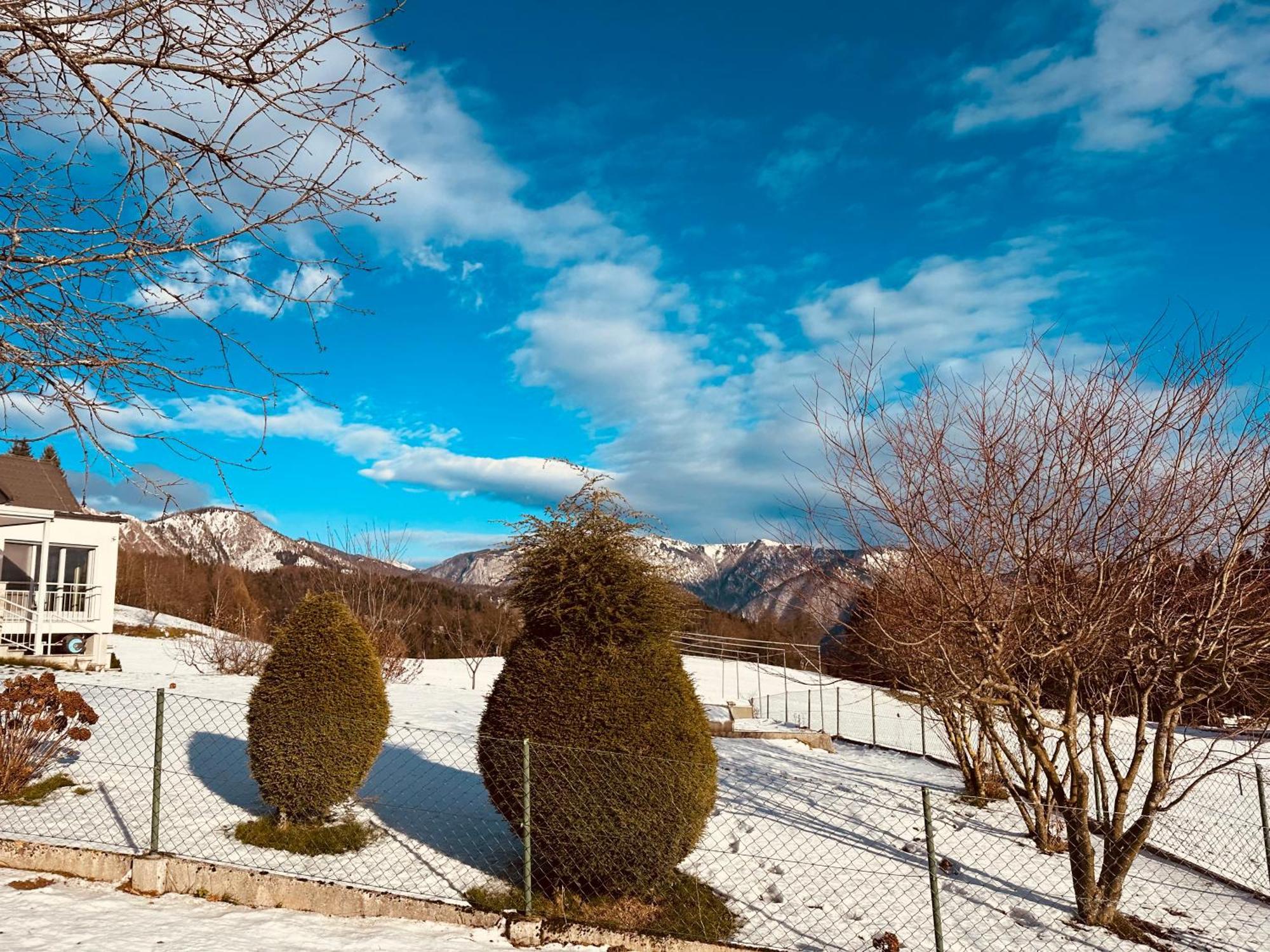 Chalet Pjagodic Cerklje na Gorenjskem Bagian luar foto